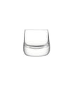 Bar Culture Whiskey Glasses - Set of 2