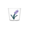 Botanica Assorted Flower Tumblers - Set of 6