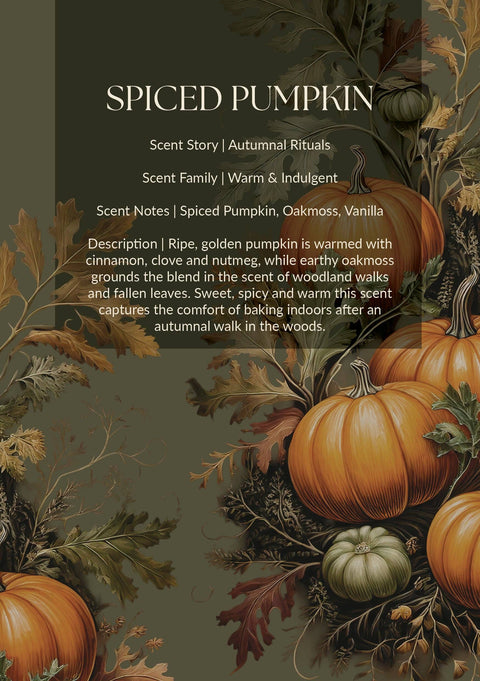 Pick & Mix Wax Melt Duo - Spiced Pumpkin