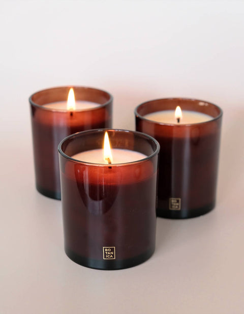 Reef Candle