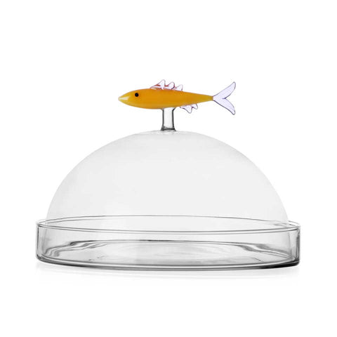 Marine Garden Dome Dish with Sardine