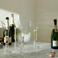 Moya Champagne Flute - Set of Two