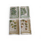Tamarindo Dinner Napkins - Set of 4