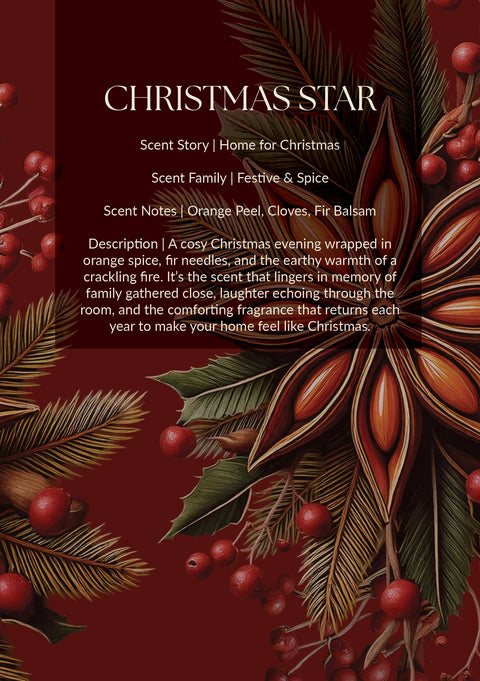 Pick & Mix Wax Melt Duo - Christmas Star