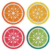 Citrus Coasters -Set of 4