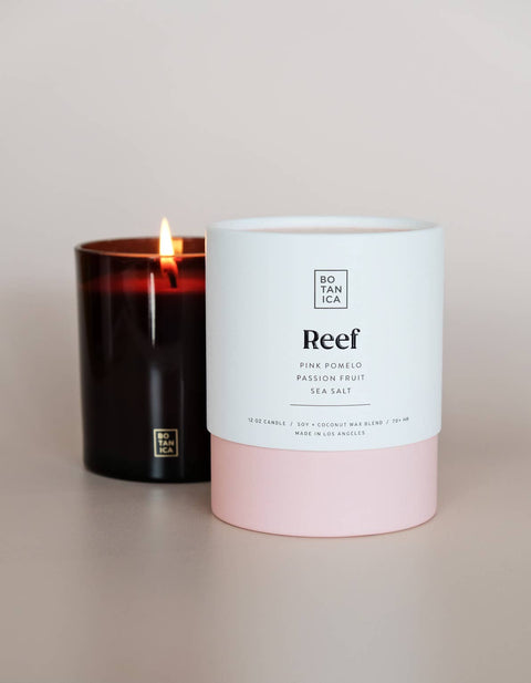 Reef Candle